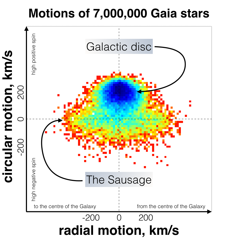 Graph that shows when looking at the distribution of star velocities in the Milky Way, the stars of the Sausage galaxy form a characteristic sausage-like shape.