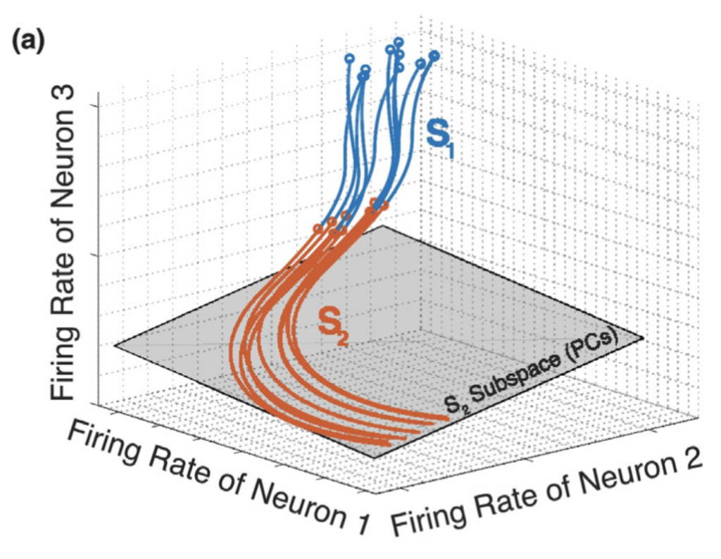 ground truth and neural simulation