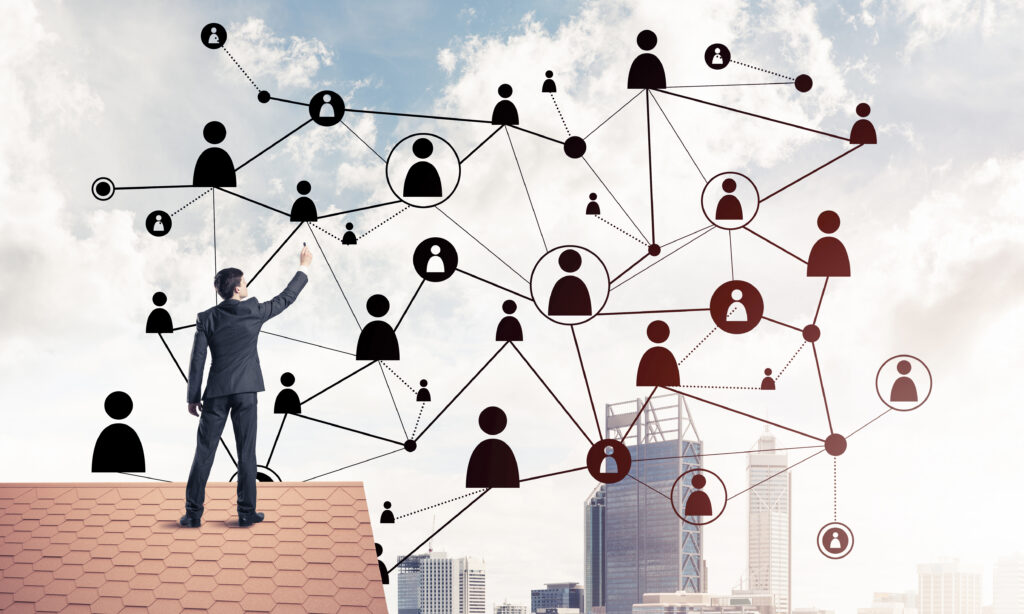 Person standing on roof with network