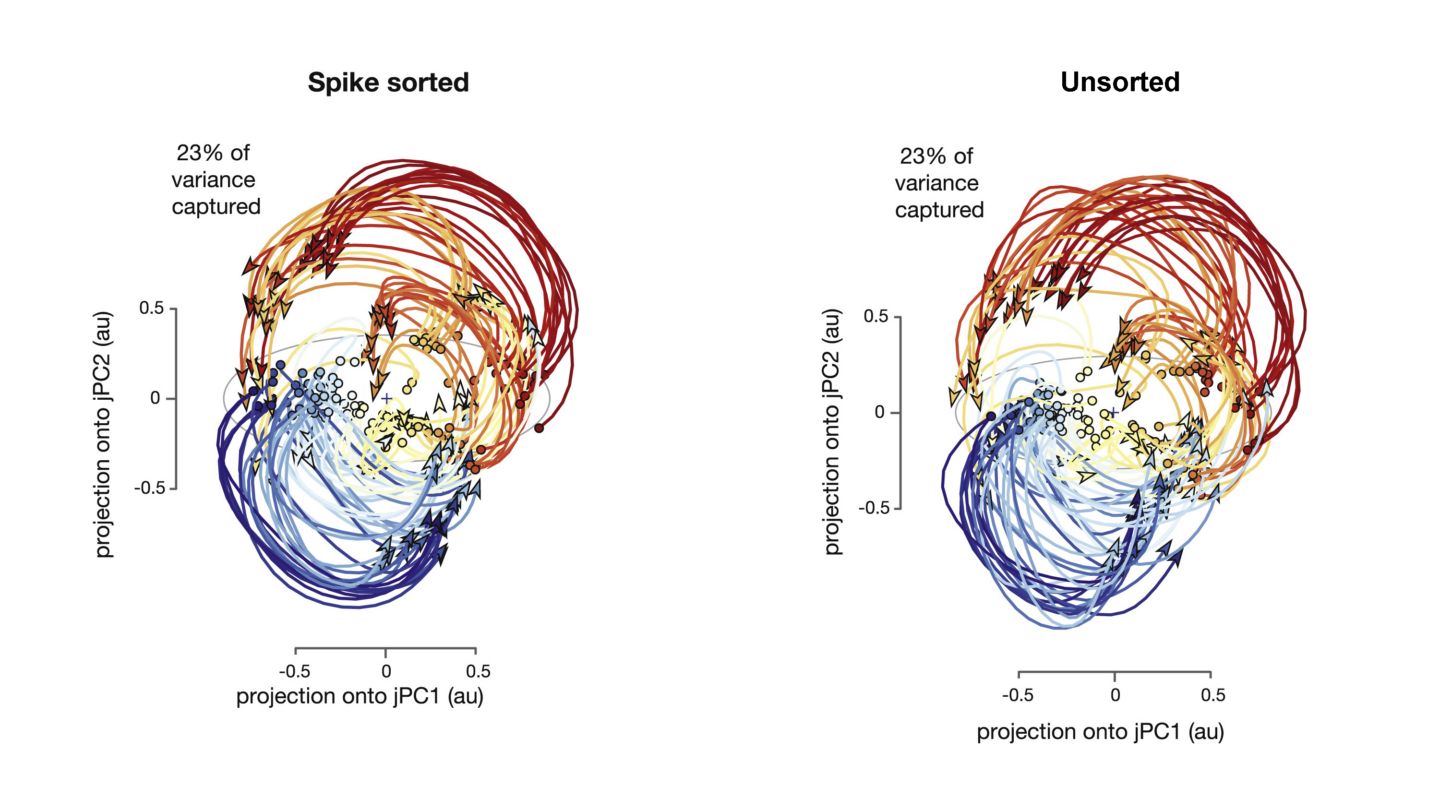 Spike sorting versus No Spike Sorting