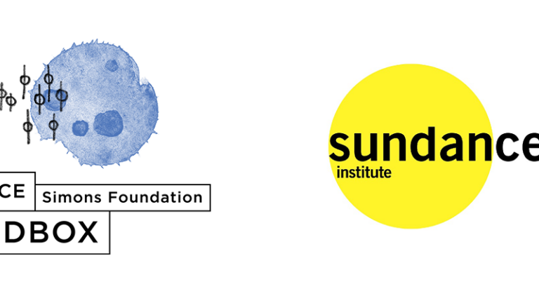 Doubled Sundance Institute and Simons Foundation Science Sandbox logos