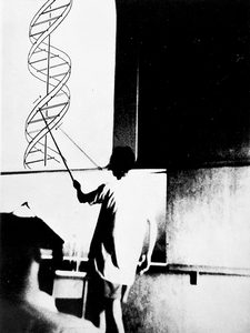 A person points at a large DNA double helix diagram on a board, likely during a classroom or lecture presentation.