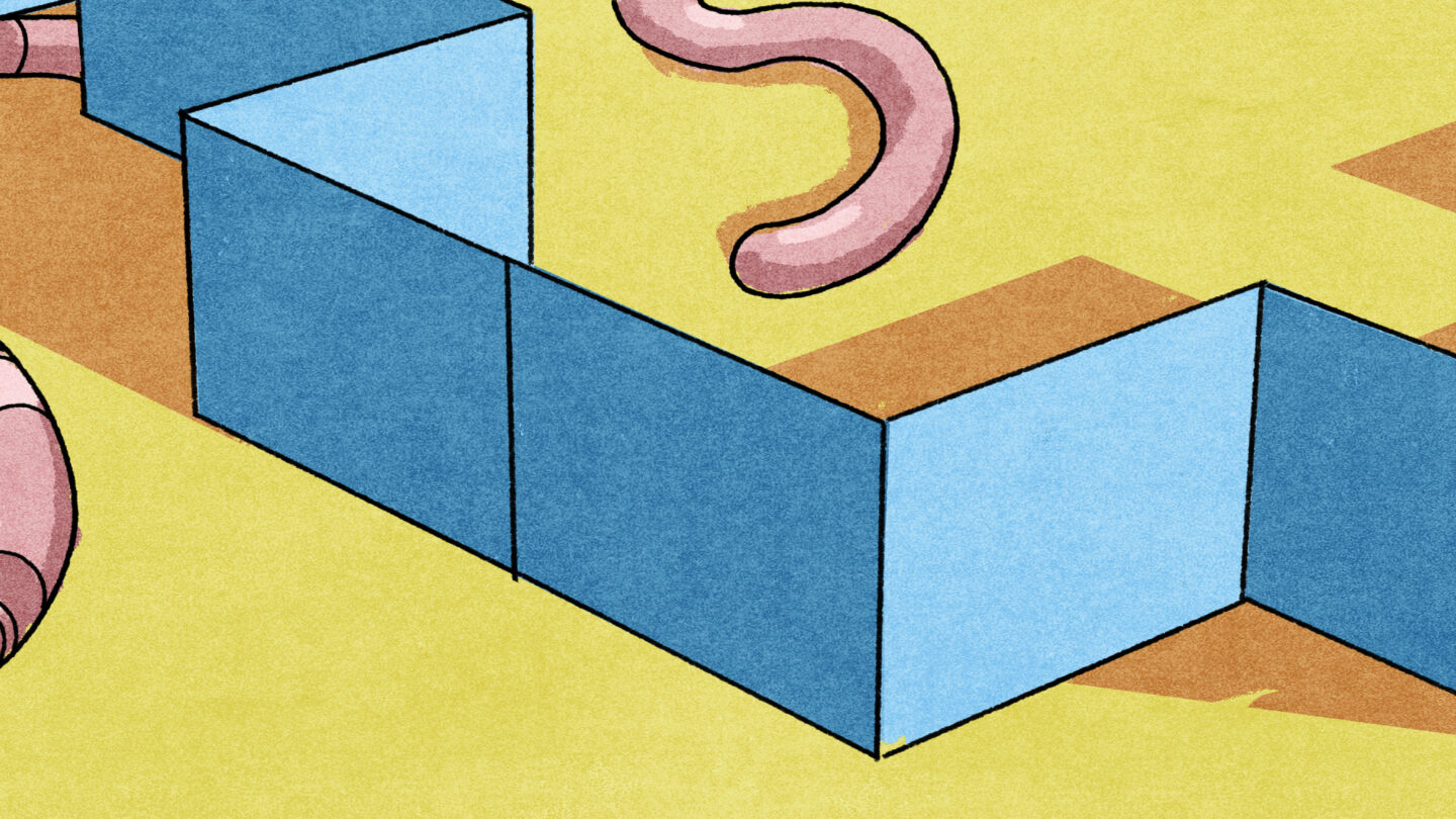 Illustration of two worms within a blue maze in a yellow room. One worm on the far left has a red cap and is facing a slice of cheese. Another worm on the far right has a black bowler hat, a pair of glasses, a white beard, and a cane.