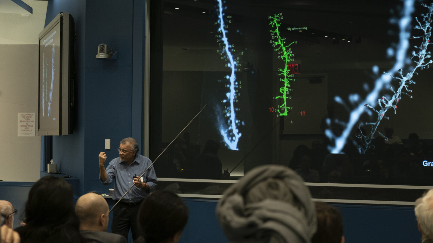 Image of Mriganka Sur of Massachusetts Institute of Technology argues for a role of the immediate early gene Arc in modulating synaptic plasticity.