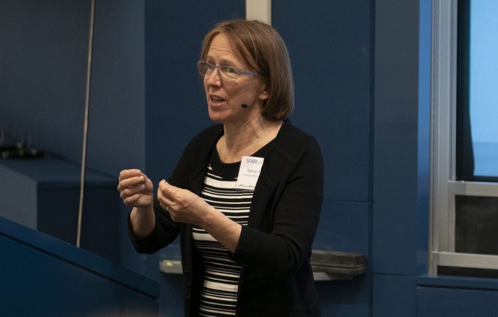 Kathryn Roeder speaking at the meeting.