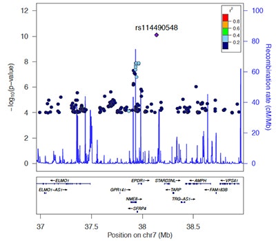 Manhattan plot shows GWAS results on chromosome 7. SNP rs114490548 peaks at 38.5 Mb with high significance. Colored dots indicate LD (r2); recombination rate shown in blue. Genes in region are displayed below the plot.
