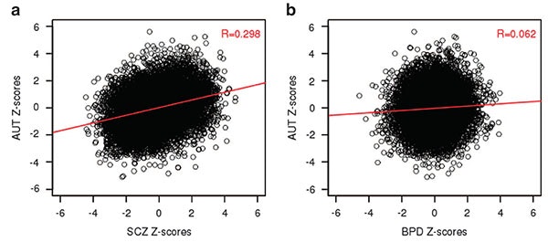 Two scatter plots. Left: AUT vs. SCZ Z-scores, red trend line, R=0.298. Right: AUT vs. BPD Z-scores, red trend line, R=0.062. Both plots show dense black circles clustering near the origin.