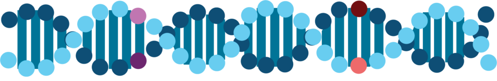 Stylized DNA double helix with alternating blue, cyan, and a few pink and red circles as base pairs, connected by dark blue vertical lines, on a white background.