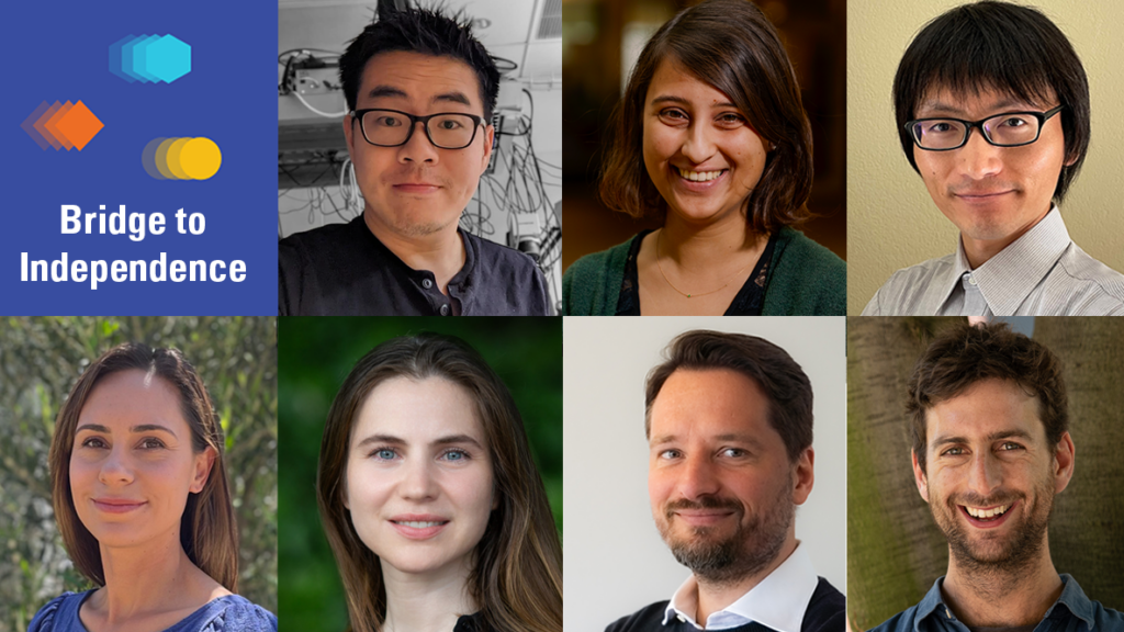 A grid of seven smiling peoples portraits beside a blue panel with the text Bridge to Independence and three colorful geometric shapes.