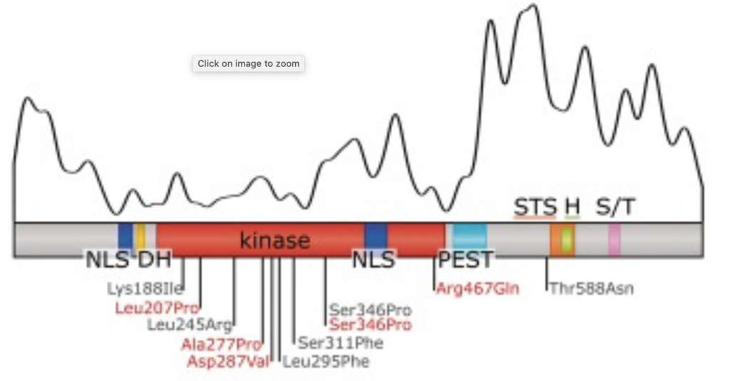 Image of graph.