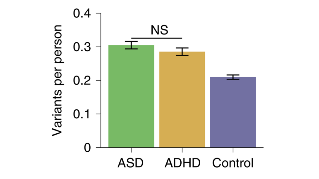 Bar graph showing variants per person: ASD (~0.3), ADHD (~0.28), and Control (~0.19). ASD and ADHD levels are similar (labeled NS), both higher than Control. Error bars are shown for each group.