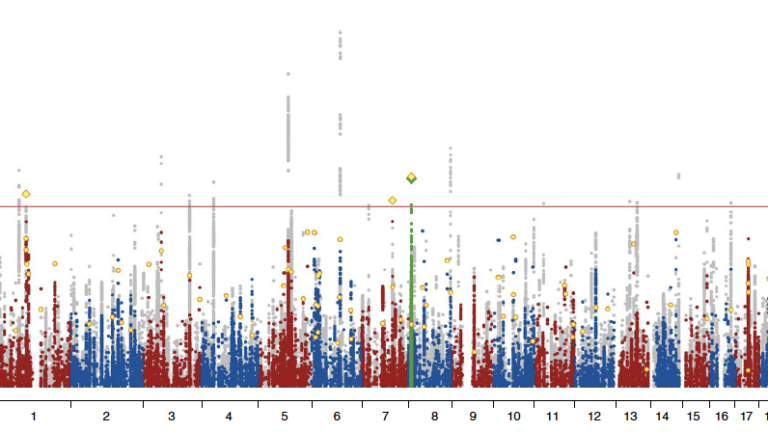 A graph of the main ASD scan, with combined results from the replication sample marked in yellow. Genome-wide significant clusters are marked in green. The x axis shows genomic position (chromosomes 1–22) and the y axis shows statistical significance as –log10(P) of z statistics. The cutoff for statistical significance is marked by the horizontal red line.