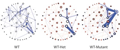 Three circular network diagrams labeled WT, WT-Het, and WT-Mutant show nodes and connecting lines of varying thickness and color, illustrating differences in network structure among the three conditions.