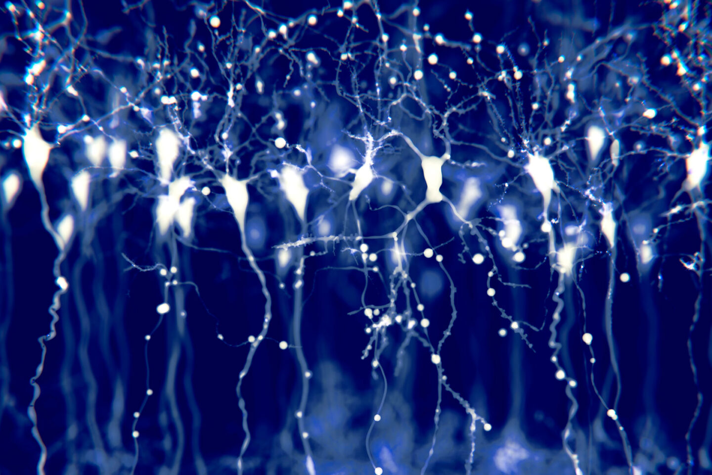A digital rendering of interconnected neurons glowing against a dark blue background.