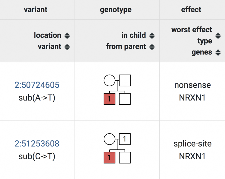 A genetic report table shows two NRXN1 variants with genotypes in family trees: one nonsense (A>T) and one splice-site (C>T), both inherited by affected children, highlighted in red.