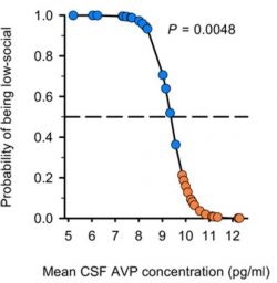 Scatter plot showing a negative correlation between mean CSF AVP concentration and probability of being low-social. Higher AVP levels correspond to lower probabilities. P = 0.0048 is indicated.
