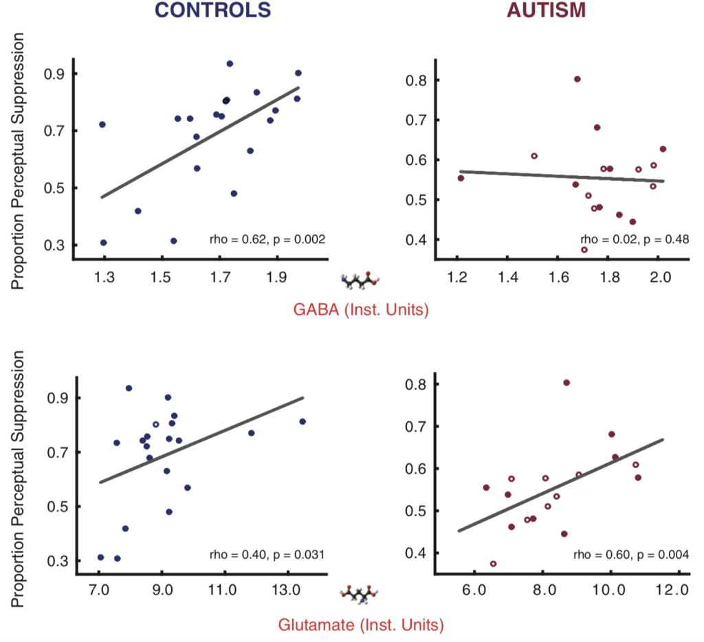 Four scatterplots show relationships between GABA/glutamate levels and perceptual suppression in control (blue) and autism (red) groups, with trend lines and correlation values for each plot.
