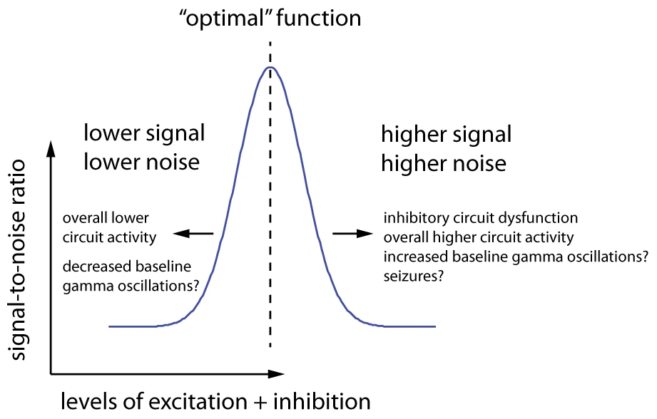 Graph with signal-to-noise ratio on the y-axis and levels of excitation and inhibition on the x-axis