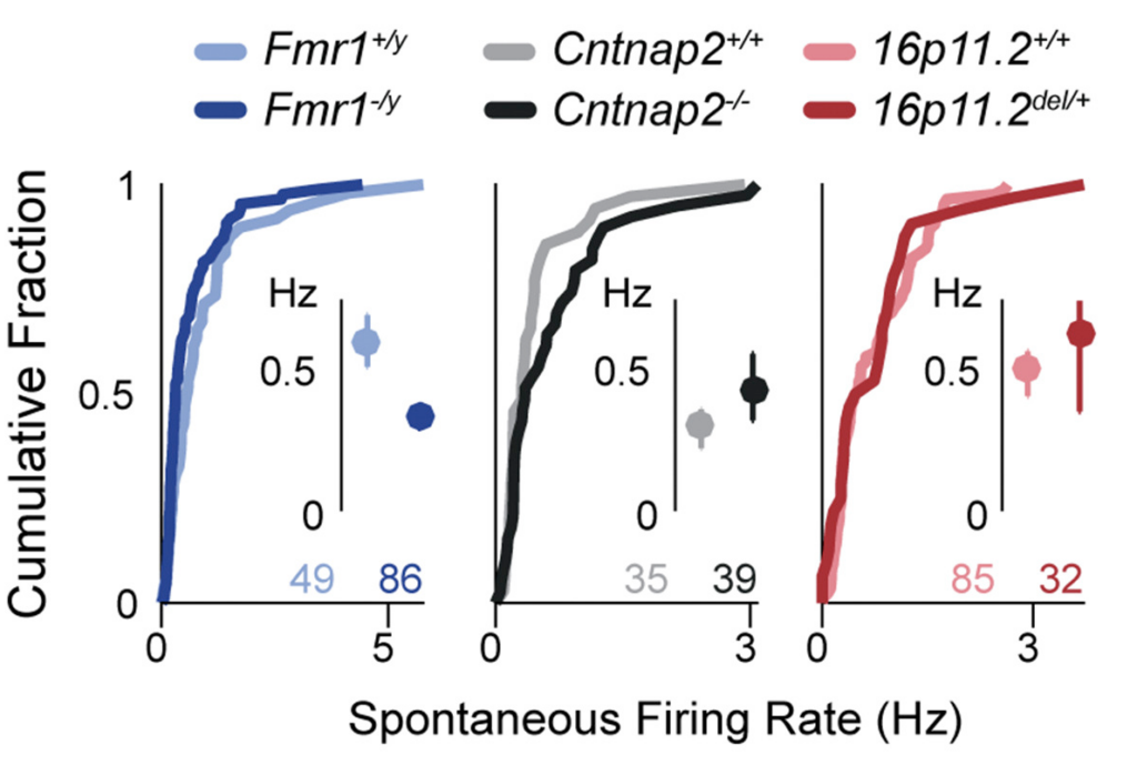 Graph of Stabilizing circuit excitability