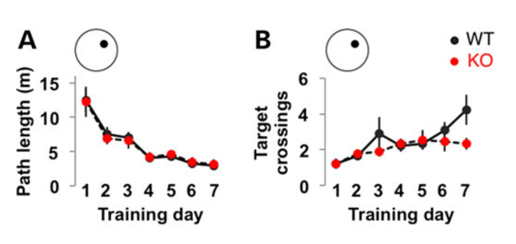 Image of plot graphs