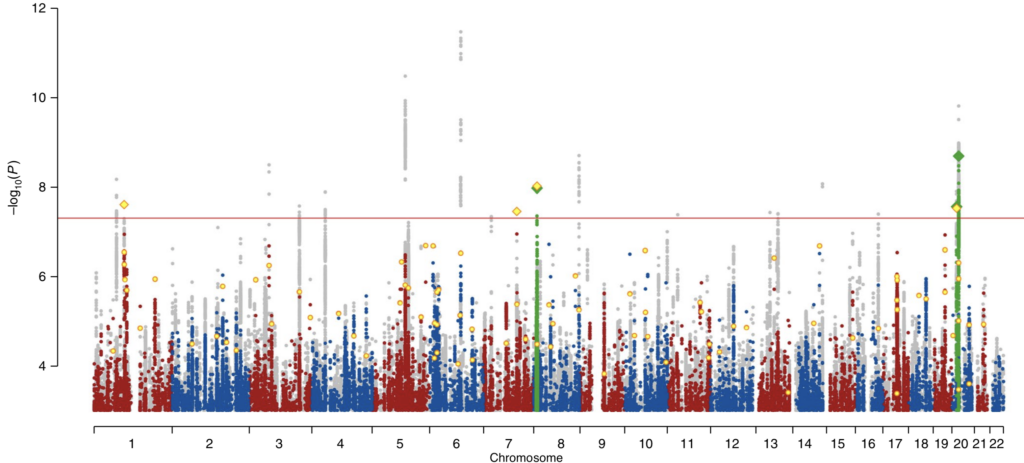 A Manhattan plot showing -log10(p) values for genetic variants across chromosomes 1–22, with notable associations highlighted above a red significance threshold line.