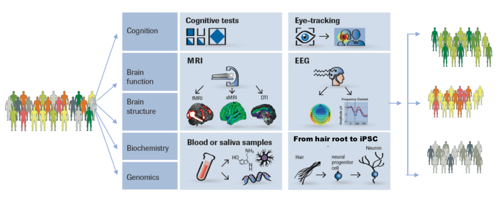 Flowchart showing methods like cognitive tests, eye-tracking, MRI, EEG, blood/saliva analysis, and hair-to-iPSC for studying cognition and grouping participants by phenotype.