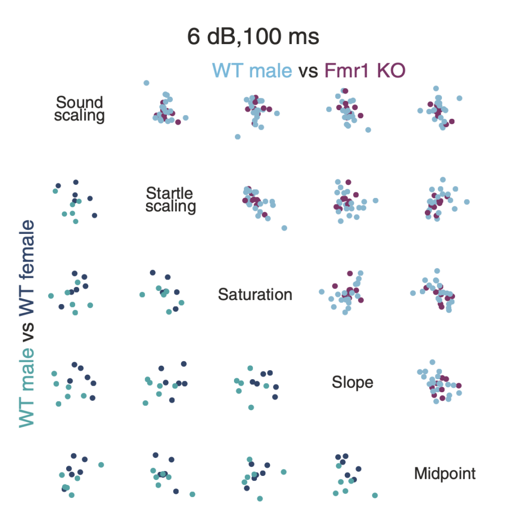 Scatter plots compare WT male (blue) and Fmr1 KO (purple) groups across sound, startle, saturation, slope, and midpoint. Rows compare WT male to WT female (teal). Each point represents data in a specific comparison.