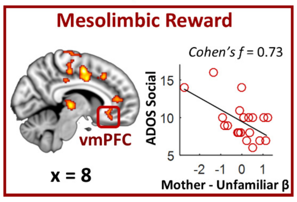 Brain scan with highlighted vmPFC area, labeled Mesolimbic Reward. Next to it, a scatter plot shows a negative correlation between ADOS Social and Mother - Unfamiliar β, with Cohens f = 0.73.