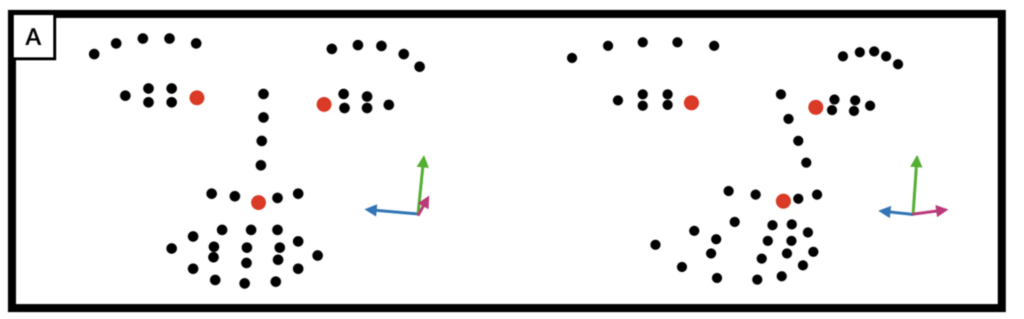 Computer-based reconstructions of children’s facial expression and head posture.