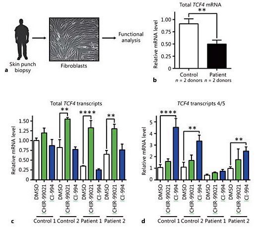Diagram shows skin biopsy to fibroblast workflow, with bar graphs comparing TCF4 mRNA levels in control vs. patient fibroblasts and effects of different treatments; significant differences are marked with asterisks.