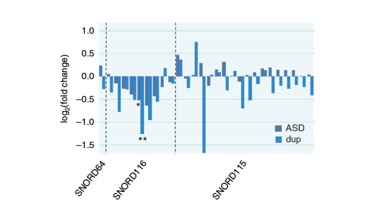 Allelic imbalance in ASD-associated gene expression graph
