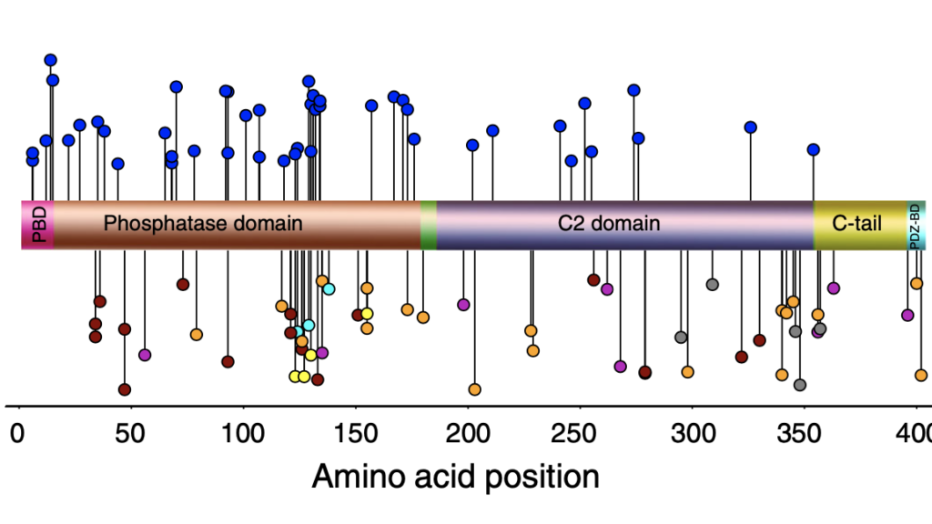 Image of graph of amino acid positions