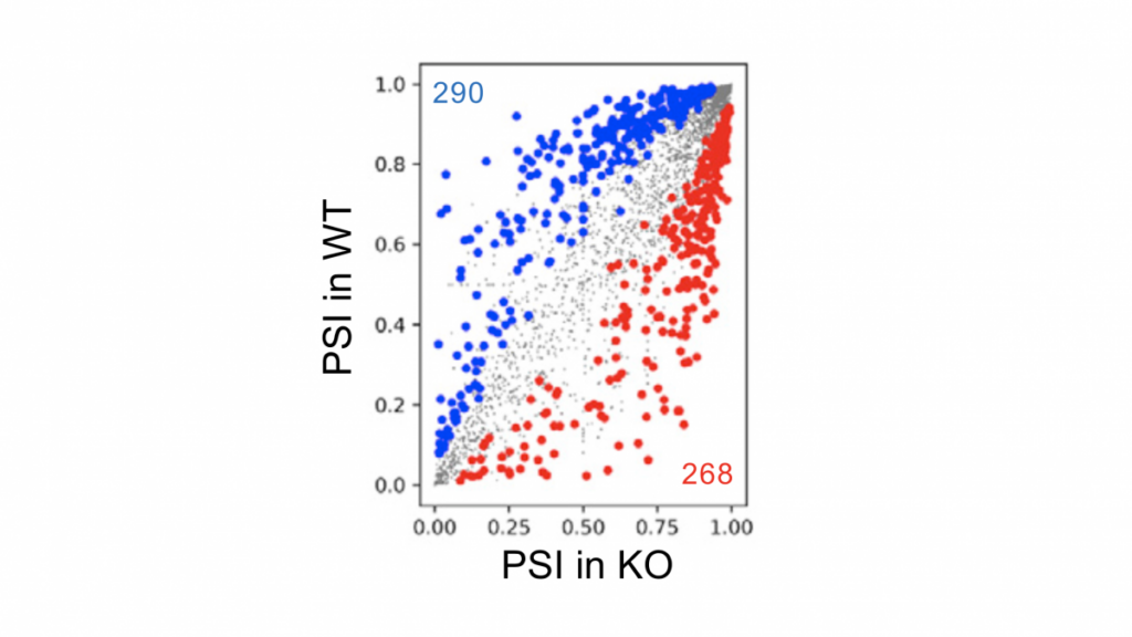 Image of plot graph