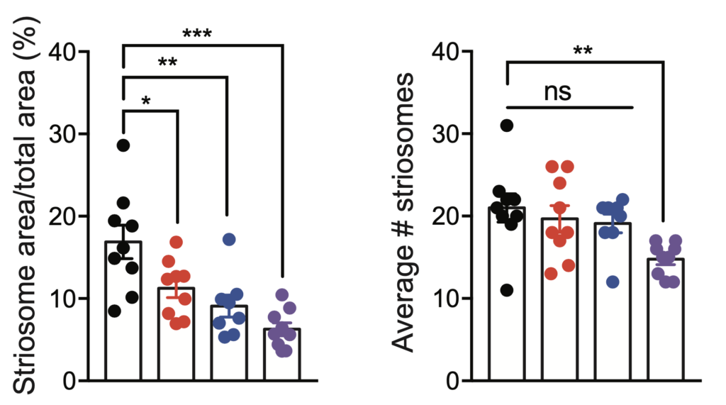 Image of plot graph