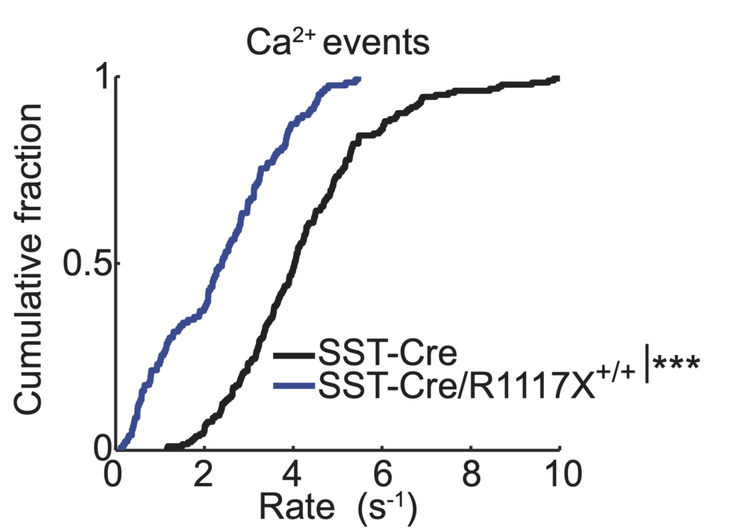 Image of graph