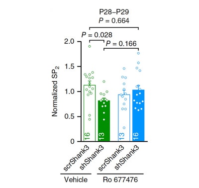 Bar graph showing normalized SP2 values for four groups: scrShank3 and shShank3 (Vehicle), scrShank3 and shShank3 (Ro 677476). Statistical significance is indicated above bars. Data points are shown for each group.
