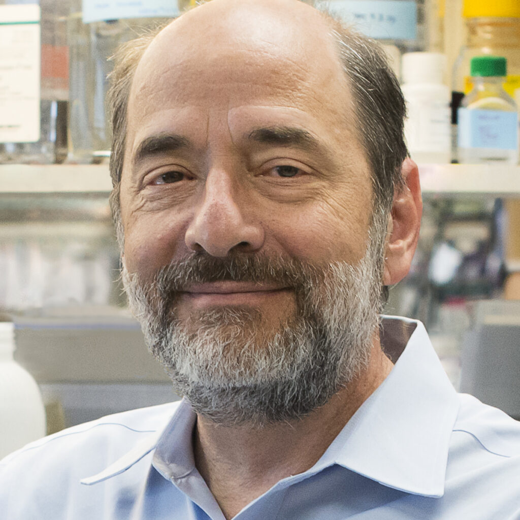 Michael Greenberg headshot.