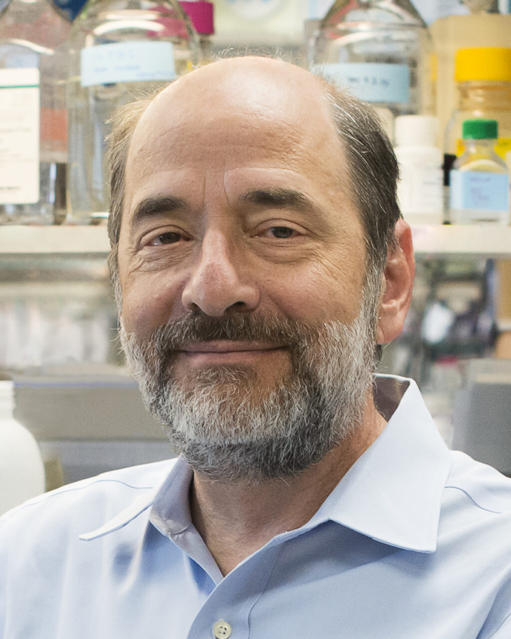 Michael Greenberg headshot.
