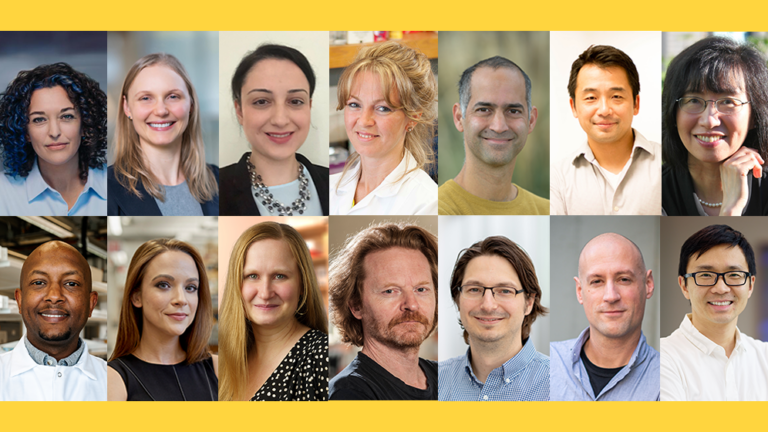 Lead image for the announcement of the recipients of the 2023 Pilot Awards.