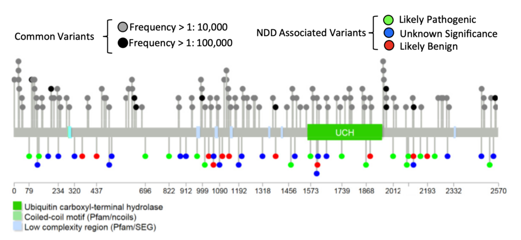 Image of graph