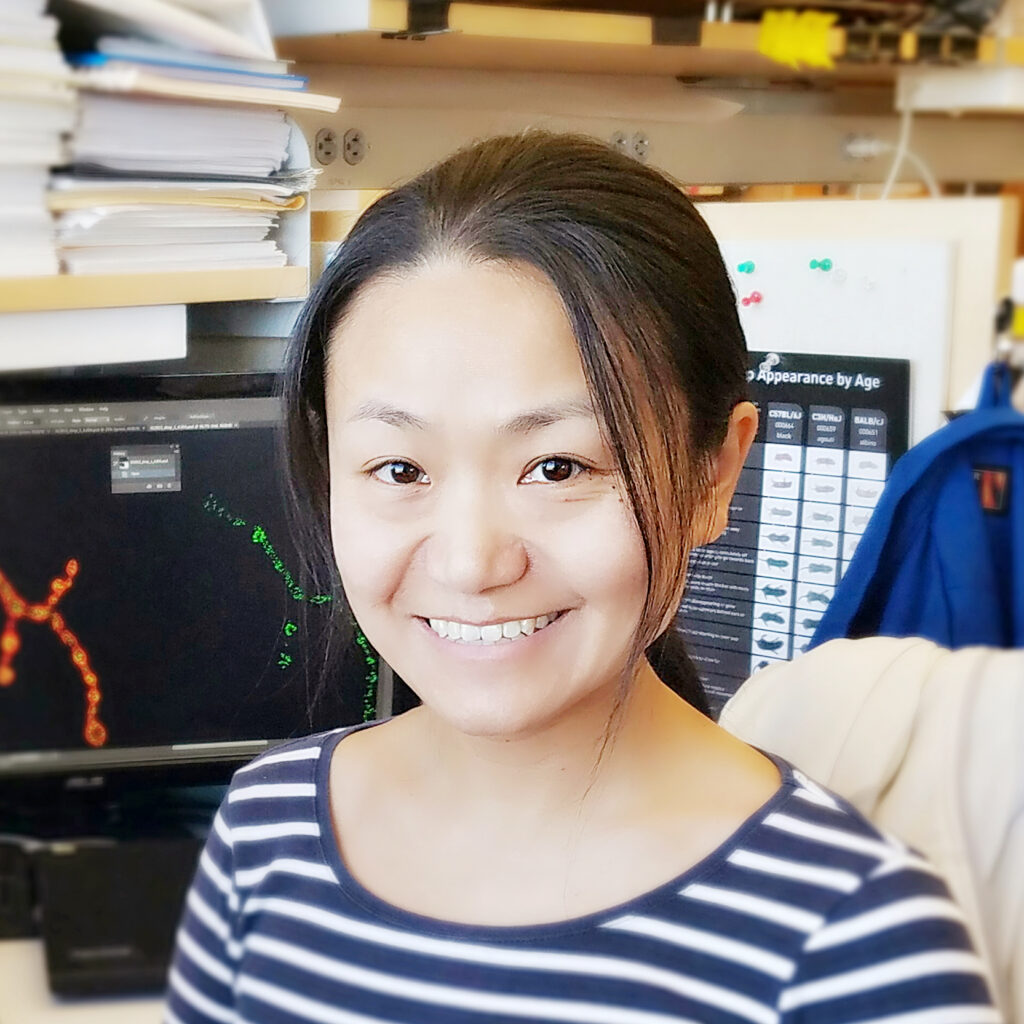 Headshot of Investigator Tingting Wang.