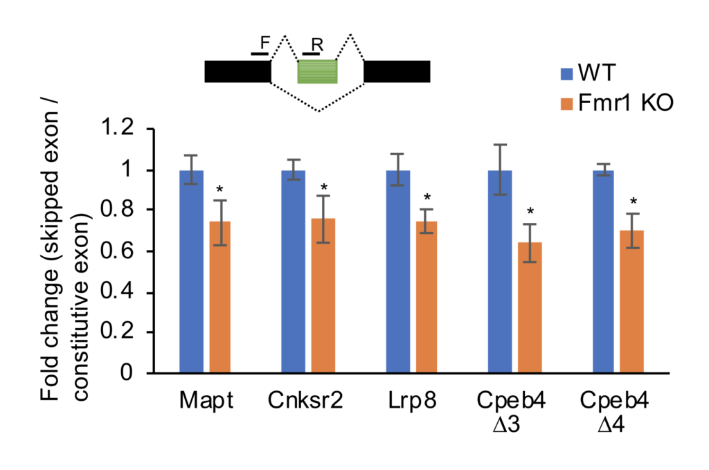 Image of bar graph