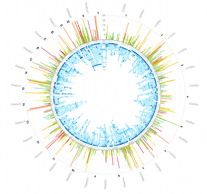 Circular genome plot with colored bars and segments indicating various data metrics across chromosomes, featuring outer multicolored peaks and inner blue segments, labeled with chromosome numbers.