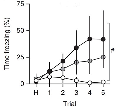 Line graph showing percent time freezing over six trials (H, 1–5) with three groups: black (highest), gray (middle), and white (lowest). Error bars shown; black group increases most. Bracket with # highlights difference at trial 5.