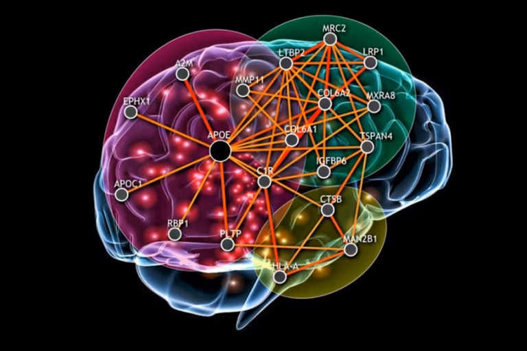 A digital illustration of a brain with interconnected nodes, labeled with gene names, showing neural pathways with orange lines connecting various points inside outlined brain sections.