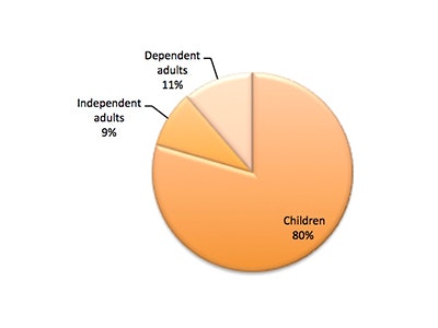 Pie chart showing: Children 80%, Dependent adults 11%, Independent adults 9%.