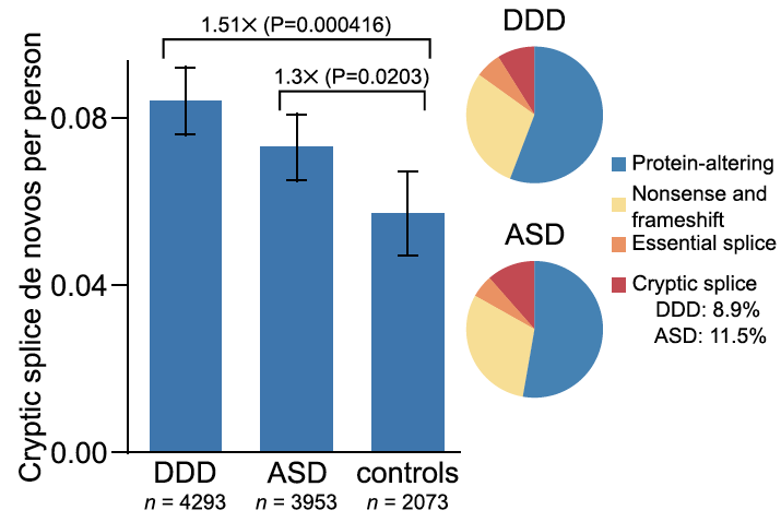 Bar graph showing cryptic splice de novos per person for DDD, ASD, and controls with error bars. Two pie charts show variant types; cryptic splice is 8.9% in DDD and 11.5% in ASD. Fold changes and p-values are annotated.