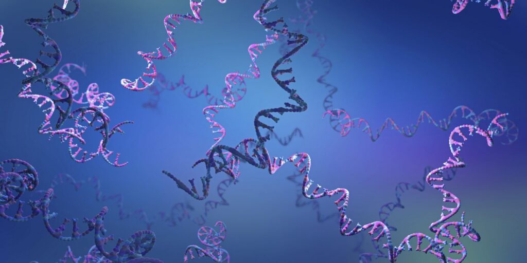 Ribonucleic acid (RNA) strands, illustration.