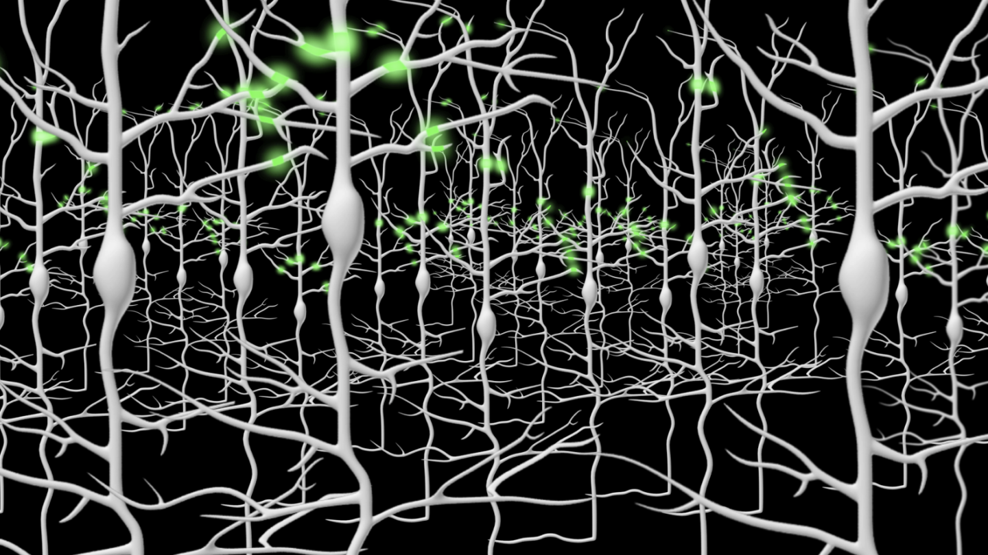 A network of white neuron cells with glowing green synapses is shown against a black background, illustrating neural activity and brain connections.