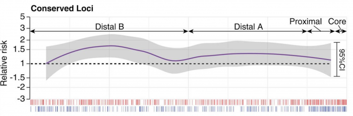 Line graph showing relative risk across genomic regions (Distal B, Distal A, Proximal, Core) with shaded 95% confidence interval. Axis ticks, colored bars, and labeled region boundaries appear below the plot.